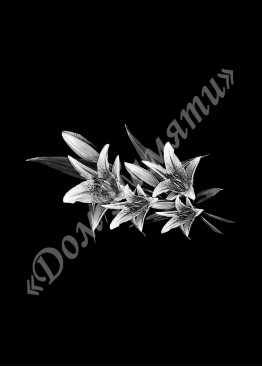 Ручная и машинная граверовка цветов, Цветы модель - ЦВТ018