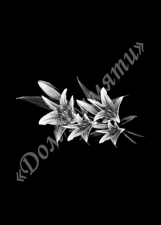 Ручная и машинная граверовка цветов на граните - ЦВТ018