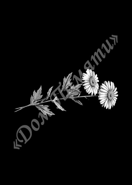 Ручная и машинная граверовка цветов на граните - ЦВТ023