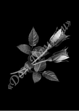 Ручная и машинная граверовка цветов, Цветы модель - ЦВТ034 Ручная и машинная граверовка цветов, Цветы модель - ЦВТ034