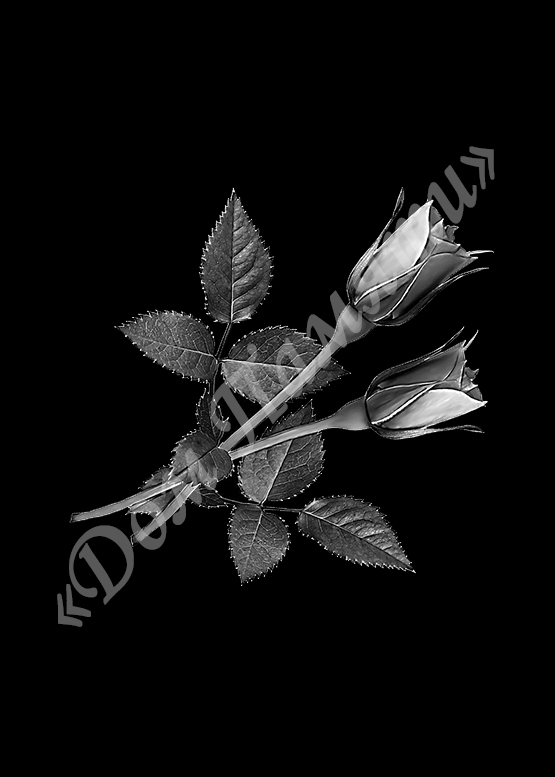 Ручная и машинная граверовка цветов на граните - ЦВТ034