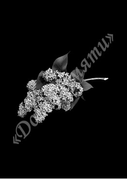 Ручная и машинная граверовка цветов, Цветы модель - ЦВТ038 Ручная и машинная граверовка цветов, Цветы модель - ЦВТ038