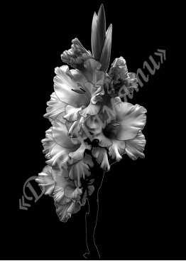 Ручная и машинная граверовка цветов, Цветы модель - ЦВТ042 Ручная и машинная граверовка цветов, Цветы модель - ЦВТ042