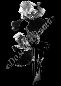 Ручная и машинная граверовка цветов, Цветы модель - ЦВТ049 Ручная и машинная граверовка цветов, Цветы модель - ЦВТ049