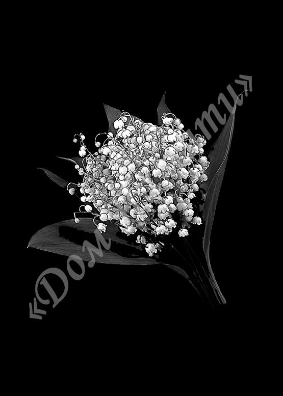 Ручная и машинная граверовка цветов на граните - ЦВТ050