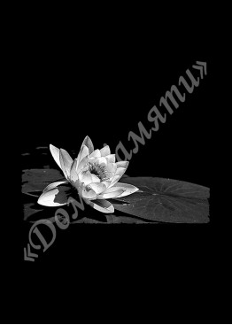 Ручная и машинная граверовка цветов, Цветы модель - ЦВТ056 Ручная и машинная граверовка цветов, Цветы модель - ЦВТ056