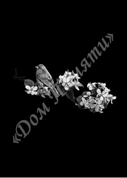 Ручная и машинная граверовка цветов, Цветы модель - ЦВТ060 Ручная и машинная граверовка цветов, Цветы модель - ЦВТ060