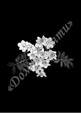 Ручная и машинная граверовка цветов, Цветы модель - ЦВТ061