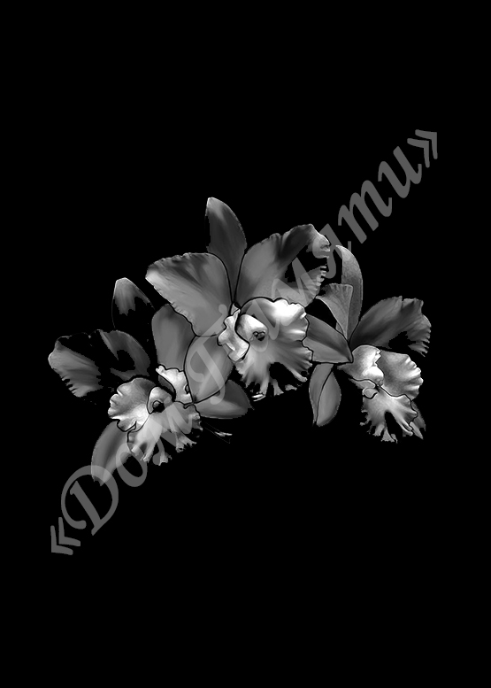 Ручная и машинная граверовка цветов на граните - ЦВТ065