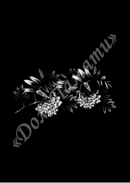 Ручная и машинная граверовка цветов, Цветы модель - ЦВТ075