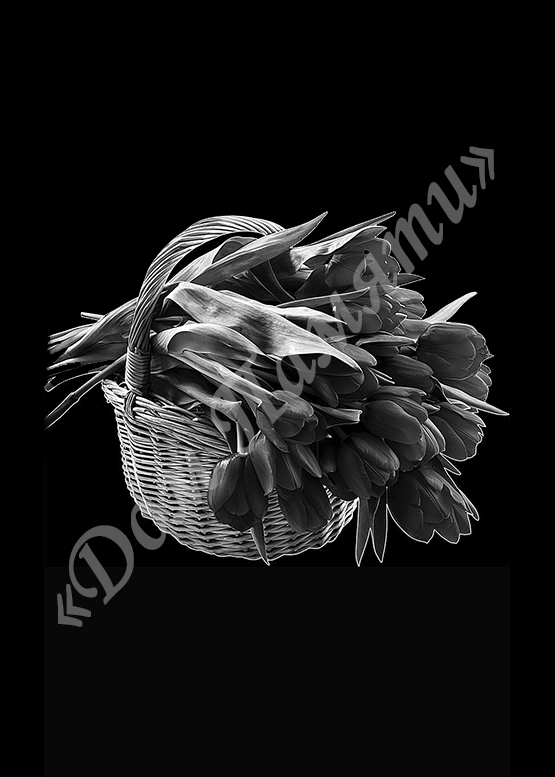 Ручная и машинная граверовка цветов на граните - ЦВТ088