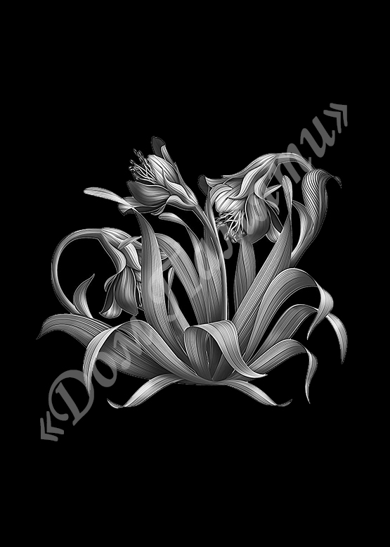 Ручная и машинная граверовка цветов на граните - ЦВТ093