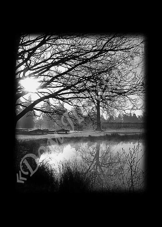 Ручная и машинная граверовка природы на граните - ПРР005