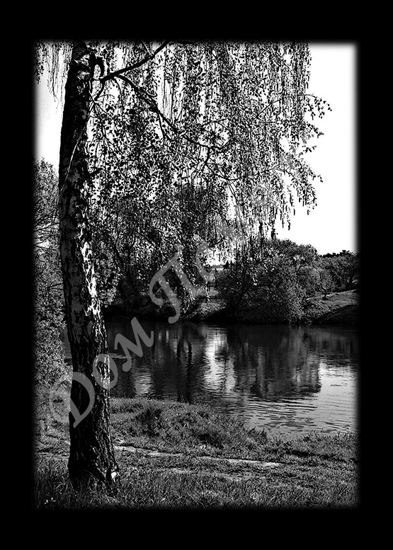 Ручная и машинная граверовка природы на граните - ПРР010