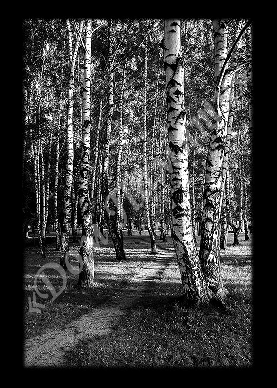 Ручная и машинная граверовка природы на граните - ПРР011