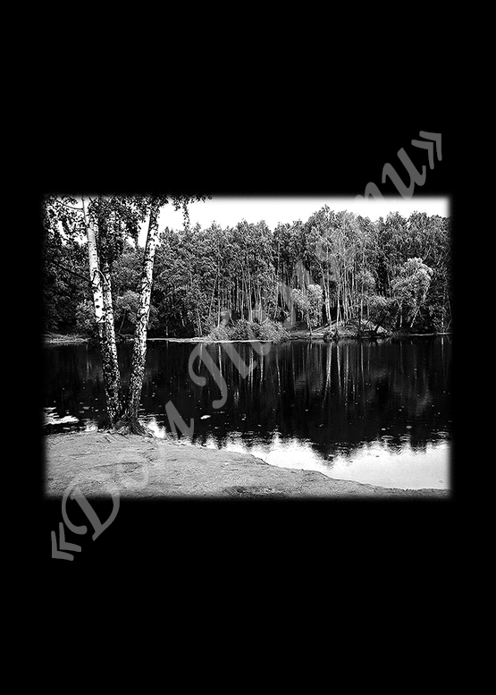 Ручная и машинная граверовка природы на граните - ПРР012