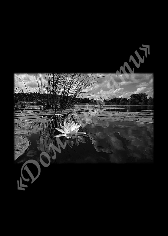 Ручная и машинная граверовка природы на граните - ПРР014