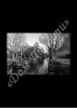 Ручная и машинная граверовка природы, Природа модель - ПРР018