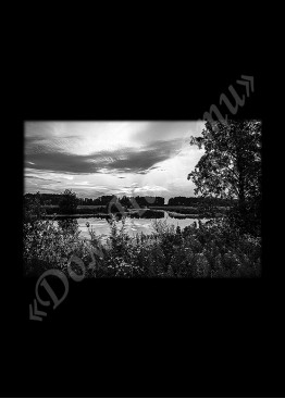 Ручная и машинная граверовка природы, Природа модель - ПРР020