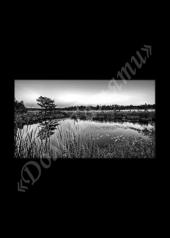 Ручная и машинная граверовка природы на граните - ПРР022