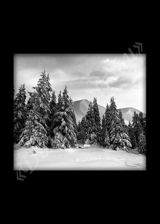 Ручная и машинная граверовка природы на граните - ПРР023