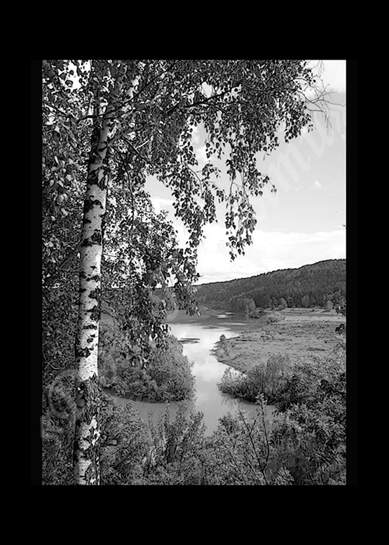 Ручная и машинная граверовка природы на граните - ПРР025