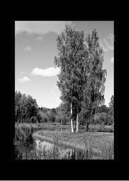 Ручная и машинная граверовка природы, Природа модель - ПРР027