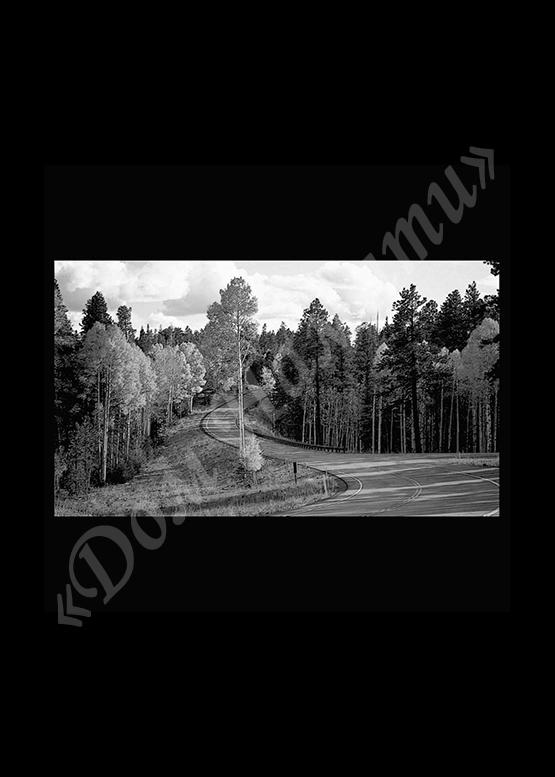 Ручная и машинная граверовка природы на граните - ПРР029