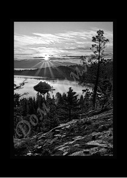 Ручная и машинная граверовка природы, Природа модель - ПРР032